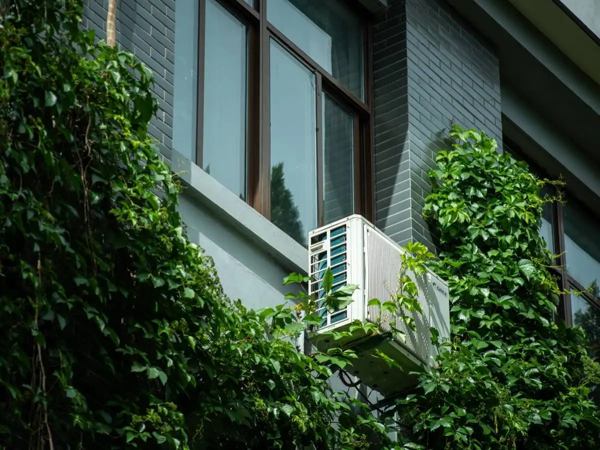 Energy-Efficient Window Replacement in Eau Claire, WI
